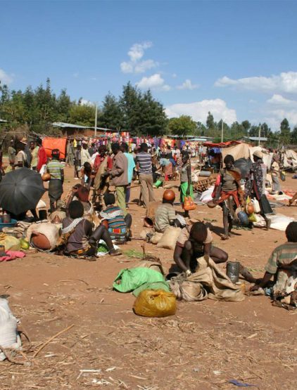 Construction des marchés ruraux périodiques avec hangars