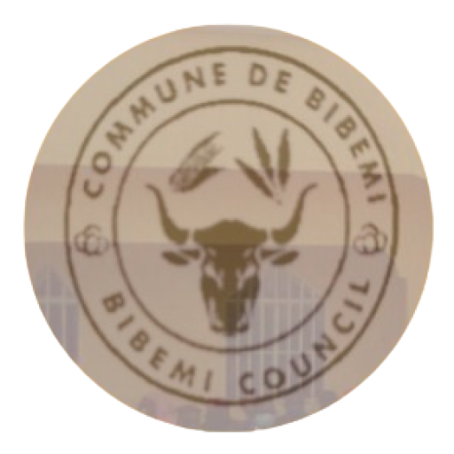 Commune de Bibémi